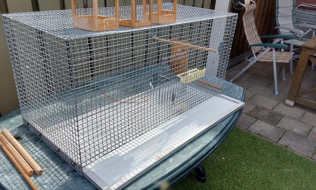 Vogelkooi  nooit gebruikt, Dieren en Toebehoren, Vogels | Hokken en Kooien, Ophalen, Nieuw, Metaal, Vogelkooi