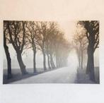Ikea pjatteryd canvas weg met bomen 78 x 118 cm, Ophalen of Verzenden, Zo goed als nieuw, Schilderij, 100 tot 125 cm