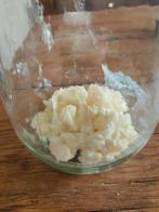 Melkkefirkorrels 40 gram, Ophalen