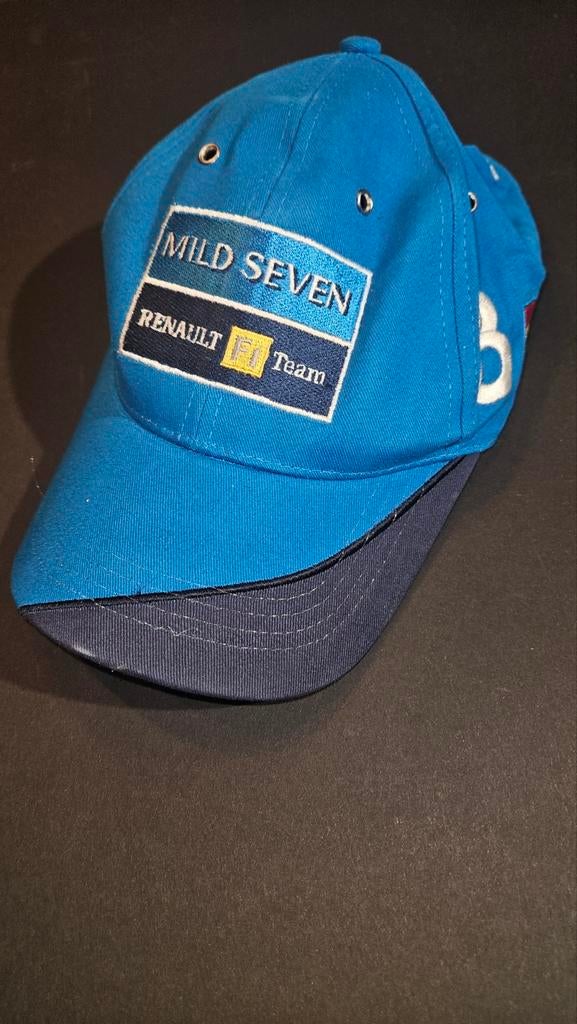 Fernando Alonso Renault F1 Pet - Limited Edition, Ophalen of Verzenden, Zo goed als nieuw