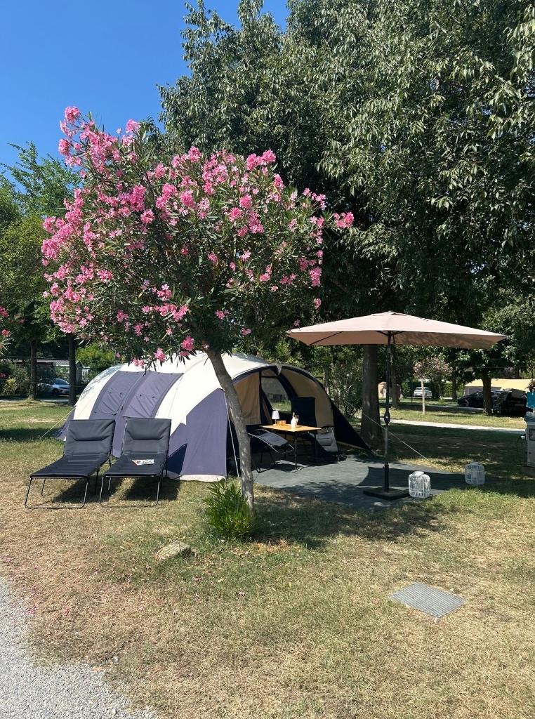 Obelink Trail 600 + Luifel – ruime 6-persoons tent – netjes!, Ophalen, Gebruikt, Tot en met 6