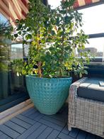 Grote  turquoise ovalen bloempot, Ophalen, Zo goed als nieuw, Overige vormen, Aardewerk