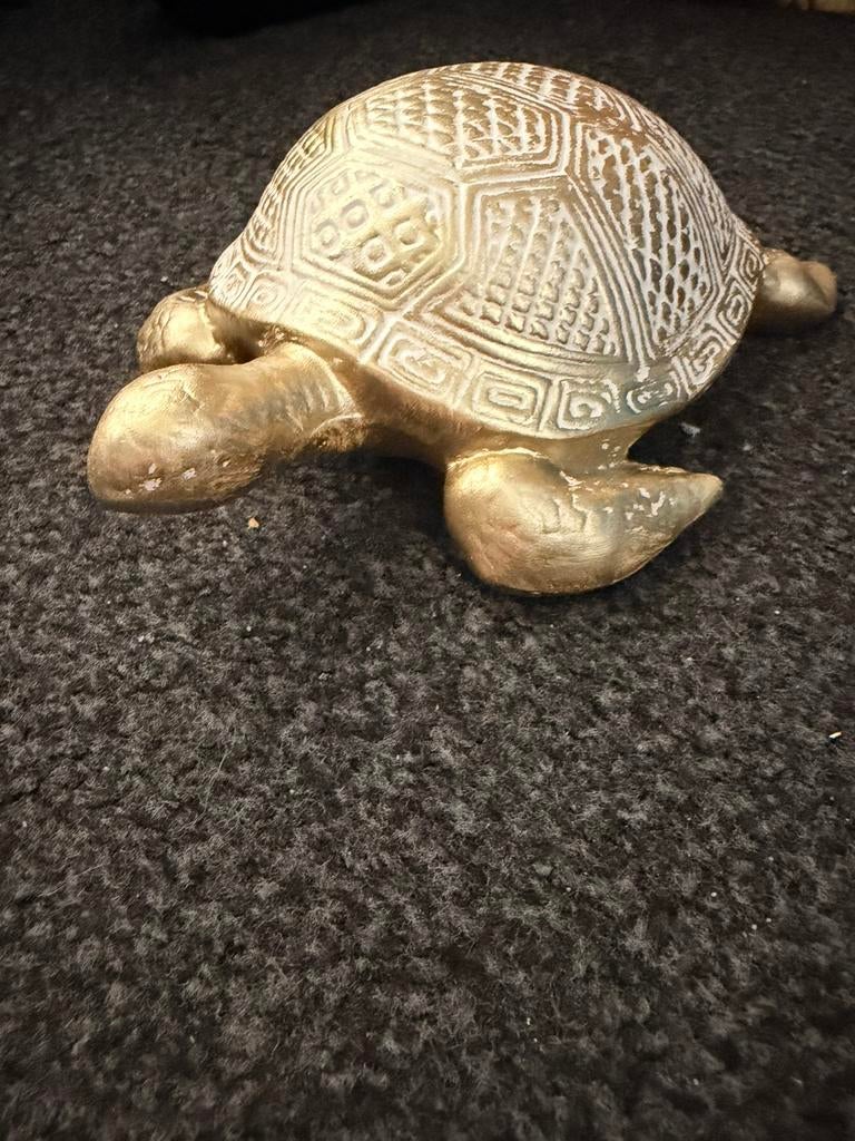 Leuke schildpad, Ophalen, Overige materialen, Overige kleuren, Nieuw