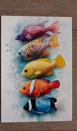 ZEEDIEREN 9, Ophalen, Paard
