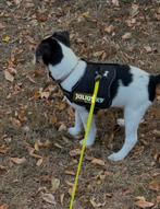 Julius K9 2XS Baby 2 tuigje, Dieren en Toebehoren, Ophalen of Verzenden, Zo goed als nieuw