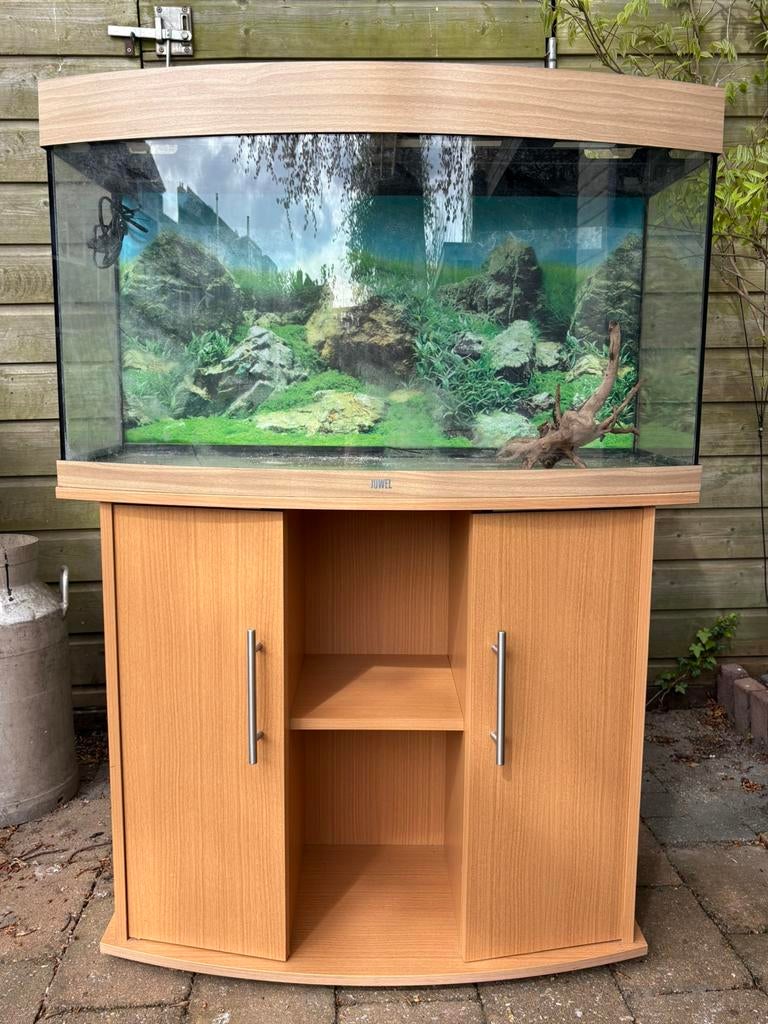 Juwel Vision 180L Aquarium + meubel + extra’s – compleet, Dieren en Toebehoren, Ophalen, Gebruikt, Leeg aquarium, Juwel
