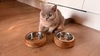 Katten voerbakjes designed by lotte, Ophalen of Verzenden, Zo goed als nieuw