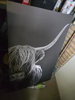 Schilderij Schotse Hooglander zwart-wit, Ophalen