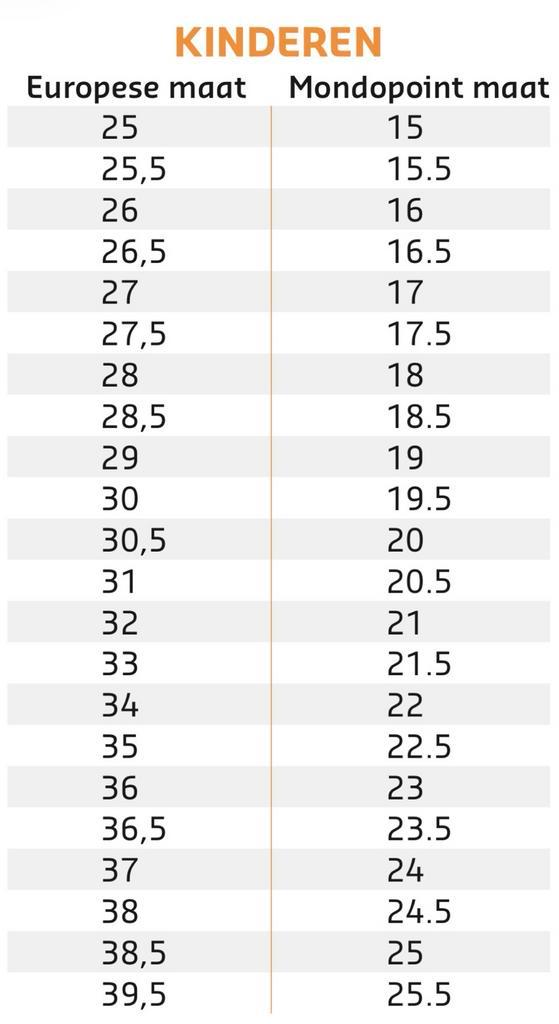 Skischoenen Kindermaat 21.5 (Schoenmaat 33), Sport en Fitness, Skiën en Langlaufen, Gebruikt, Schoenen, Skiën, Overige merken