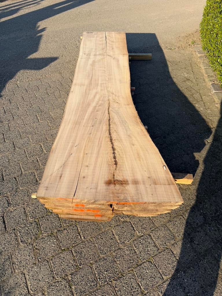 Mooie iepen boomstambladen 250x50x3,5 cm, Tuin en Terras, Palen, Balken en Planken, Ophalen, Zo goed als nieuw, 250 cm of meer