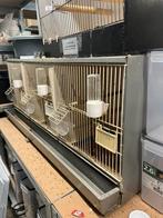 Broedkooien, Ophalen, Zo goed als nieuw, Hout, Broedkooi of Kweekkooi