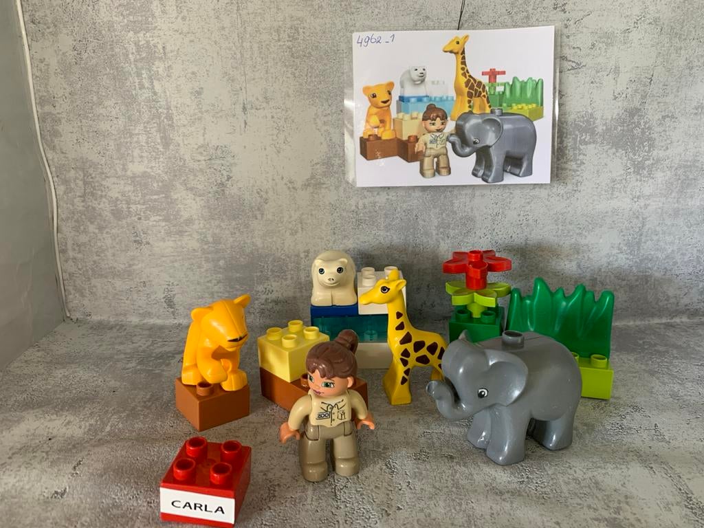 LEGO Duplo Safari Avontuur Set 4962-1 Compleet, Kinderen en Baby's, Speelgoed | Duplo en Lego, Overige thema's, Ophalen of Verzenden