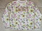 Sweater trui bloemetjes maat 158 truitje, Ophalen of Verzenden, Zo goed als nieuw, Meisje, Trui of Vest