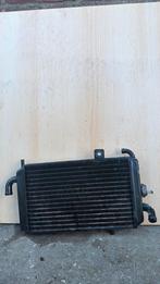 Hexagon radiateur, Ophalen of Verzenden, Zo goed als nieuw, Overige typen, Piaggio