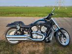 Harley Davidson V-rod custom, uniek!, Motoren, 2 cilinders, Chopper, 1130 cc, Particulier
