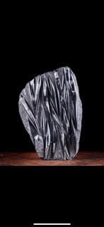 Orthoceras Plaat - Groot formaat fossiel - 49x34m - 9kg, Ophalen, Fossiel