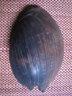 Bailer, Slaapschelp, Casuarine Coast, South Asmat, Papua NG, Antiek en Kunst, Ophalen of Verzenden