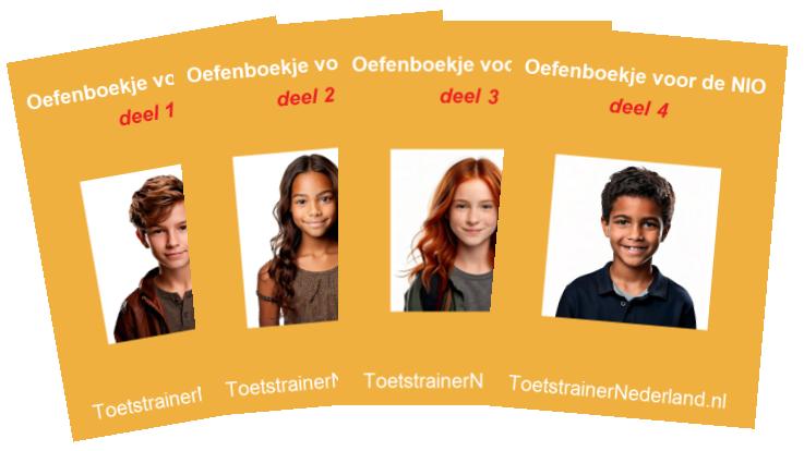 Oefenboekjes NIO-toets (pdf), Ophalen, Nieuw, Overige niveaus
