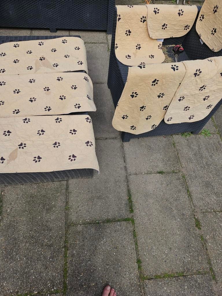 Bodembedekking Vaneste matten cavia konijnen, Ophalen of Verzenden, Overige typen