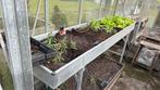 Kweekbak 2.40 bij 60 cm hoog 92 cm, Ophalen, Gebruikt, Kweekbak
