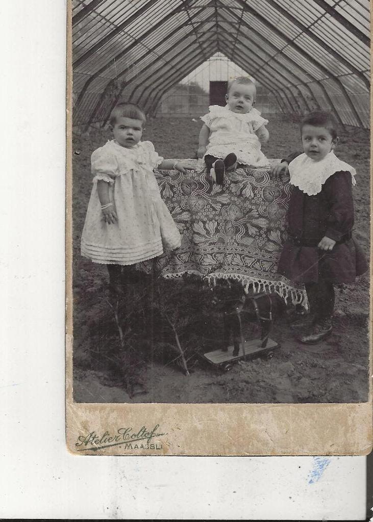 Poeldijk Druivenkas met 3 meisjes bij tafel Kabinetsfoto, Verzamelen, Ansichtkaarten | Nederland, Ophalen of Verzenden, Voor 1920