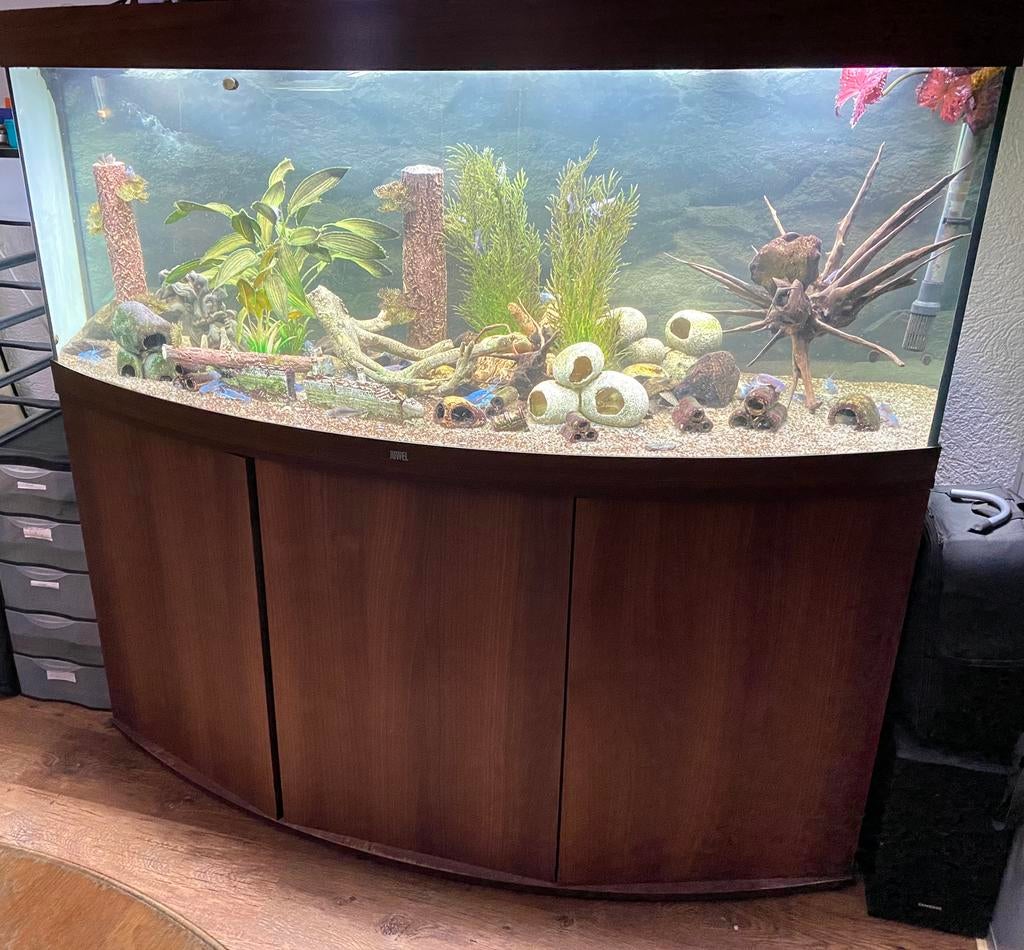 Ter overname terug verdiende kreeften hobby, Ophalen, Zo goed als nieuw, Leeg aquarium