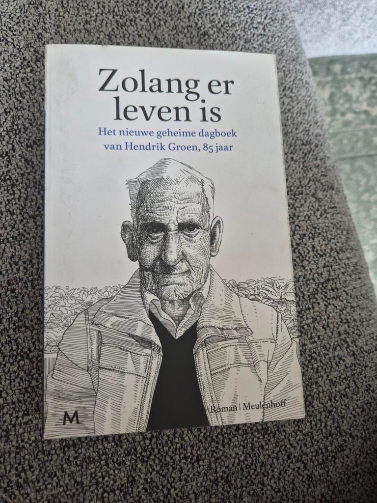 Hendrik Groen - Zolang er leven is, Boeken, Literatuur, Zo goed als nieuw, Ophalen of Verzenden