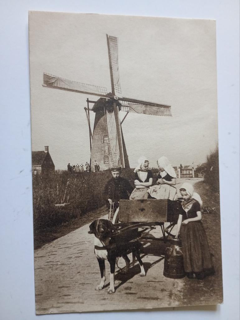 Zeeland Walcheren Hondenkar Kind Molen, Verzamelen, Ophalen of Verzenden, Voor 1920, Ongelopen, Zeeland