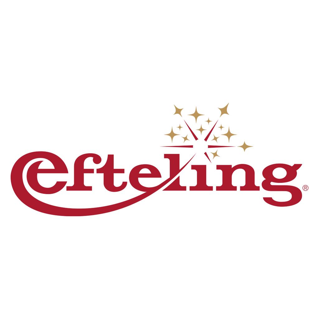 1 toegangskaartje Efteling twv €56, Tickets en Kaartjes, Eén persoon, Overige soorten