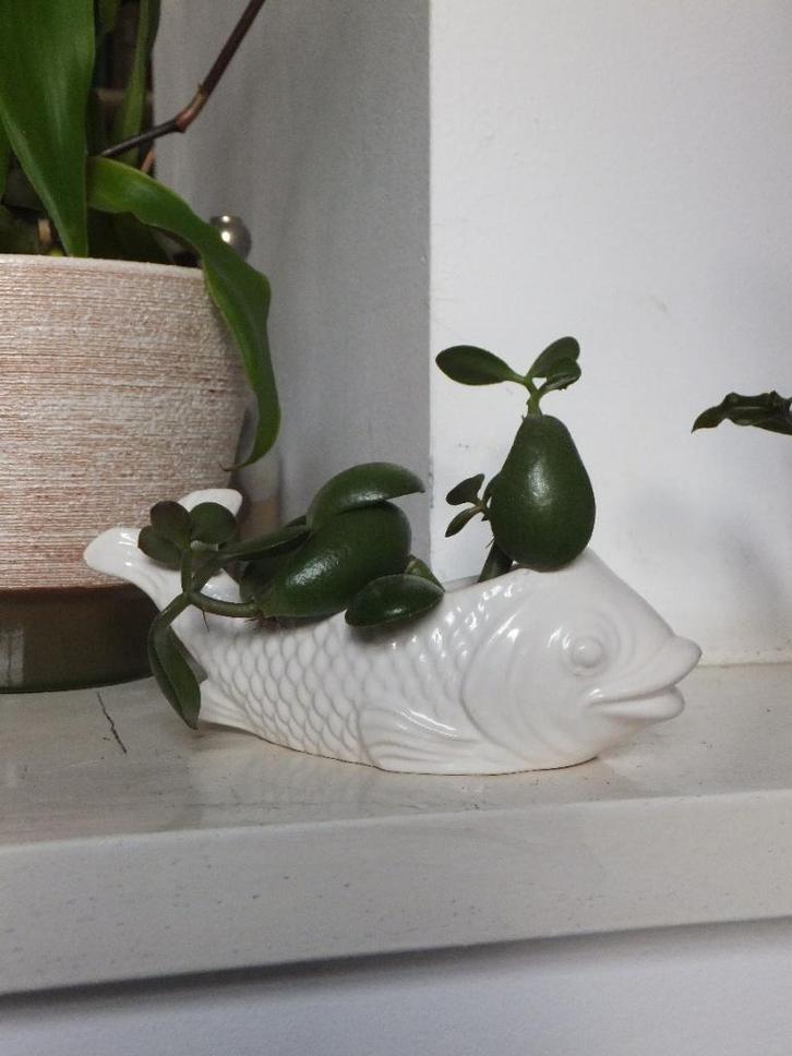 grappig vintage beeldje, bloempotje vis karper jema holland, Antiek en Kunst, Curiosa en Brocante, Ophalen