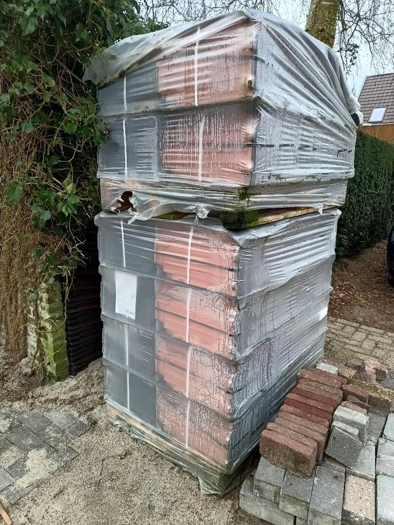 Koramic Alegra 12 Leikleur Mat Engobe (703), Doe-het-zelf en Verbouw, Dakpannen en Dakbedekking, Ophalen, Steen of Klei, Nieuw