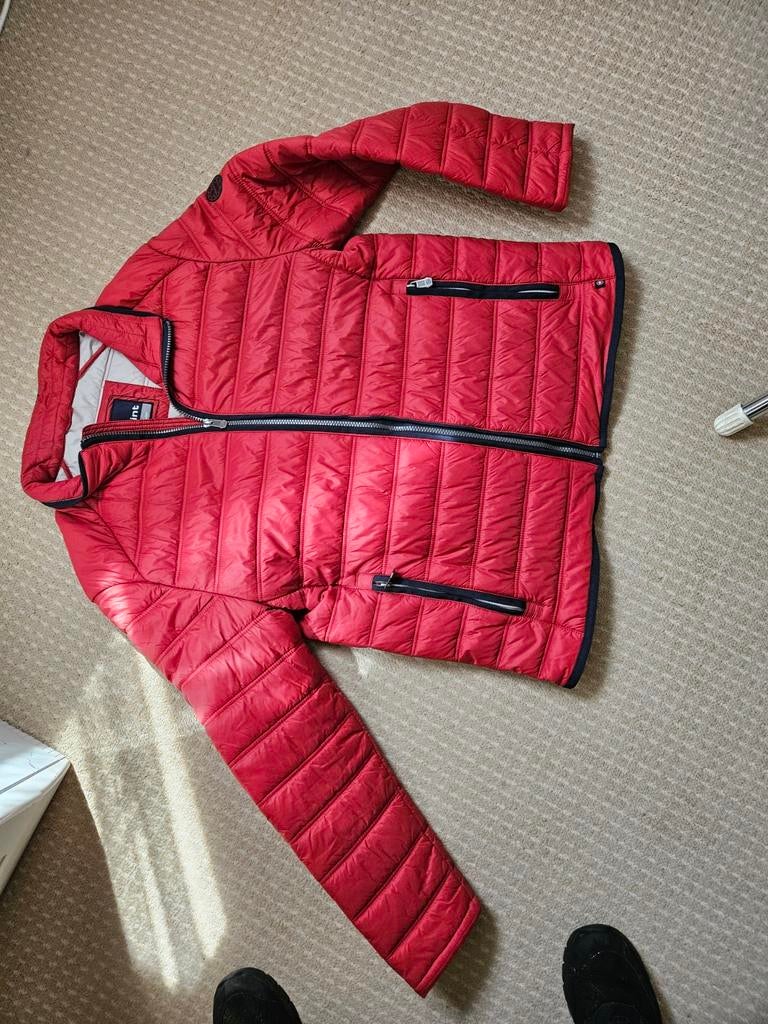 Donkerrood gewatteerd jasje maat L, Maat 52/54 (L), Ophalen of Verzenden, Redpoint, Gedragen