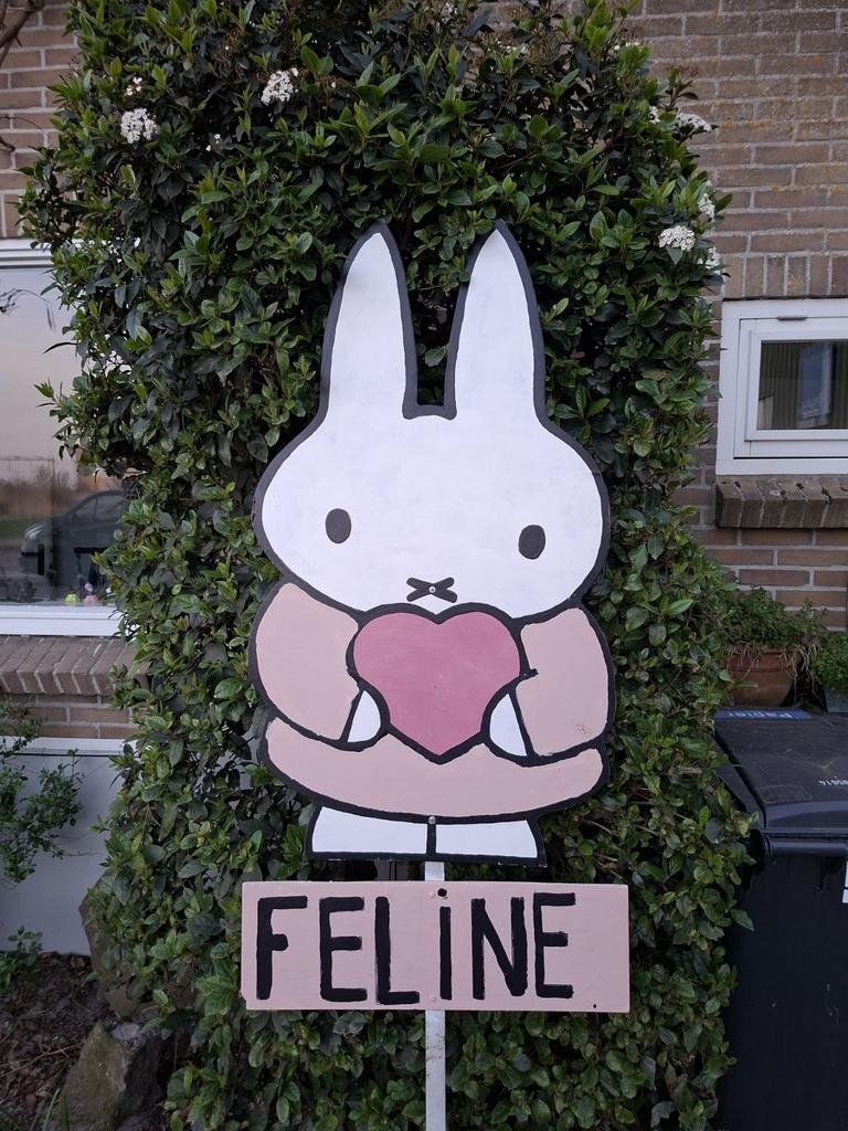 Te koop geboorte bord, Kinderen en Baby's, Kraamcadeaus en Geboorteborden, Ophalen