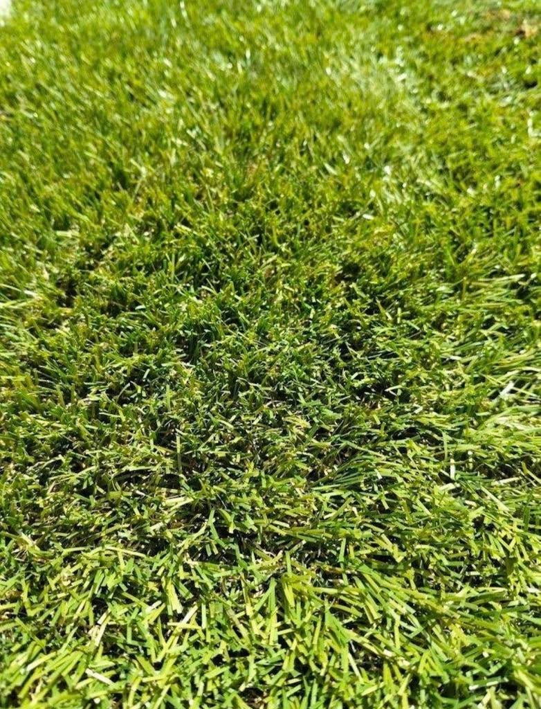 Kuns gras ....binnen gebruikt in wintertuin, Ophalen, Zo goed als nieuw, 20 m² of meer, Kunstgras