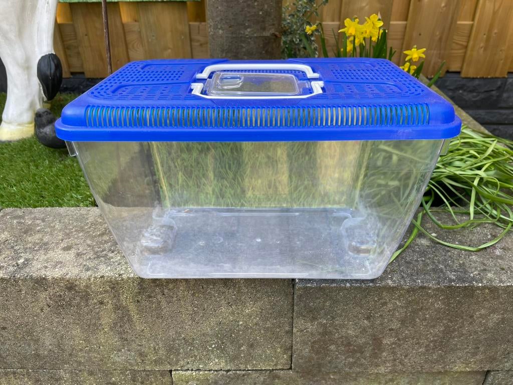 Plastic vissen bak, Ophalen, Zo goed als nieuw