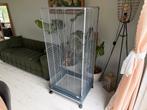 kamervolier vogelkooi, Dieren en Toebehoren, Vogels | Hokken en Kooien, Ophalen of Verzenden, Metaal, Vogelkooi