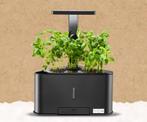 Teig hydrogarden hydro kweekbak met lamp kweekset voor kruid, Kunststof, Minder dan 30 cm, Nieuw, Ophalen of Verzenden