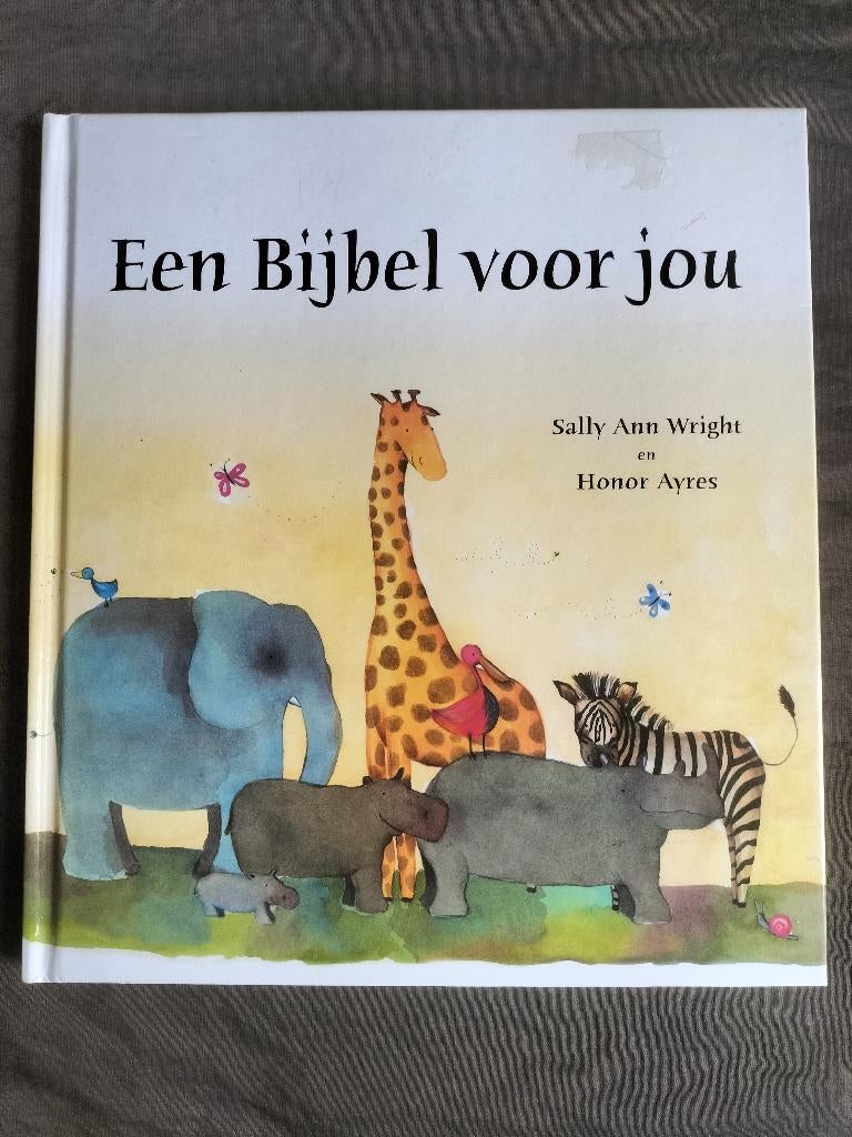 Sally Ann Wright - Een bijbel voor jou, Ophalen of Verzenden, Zo goed als nieuw, Sally Ann Wright