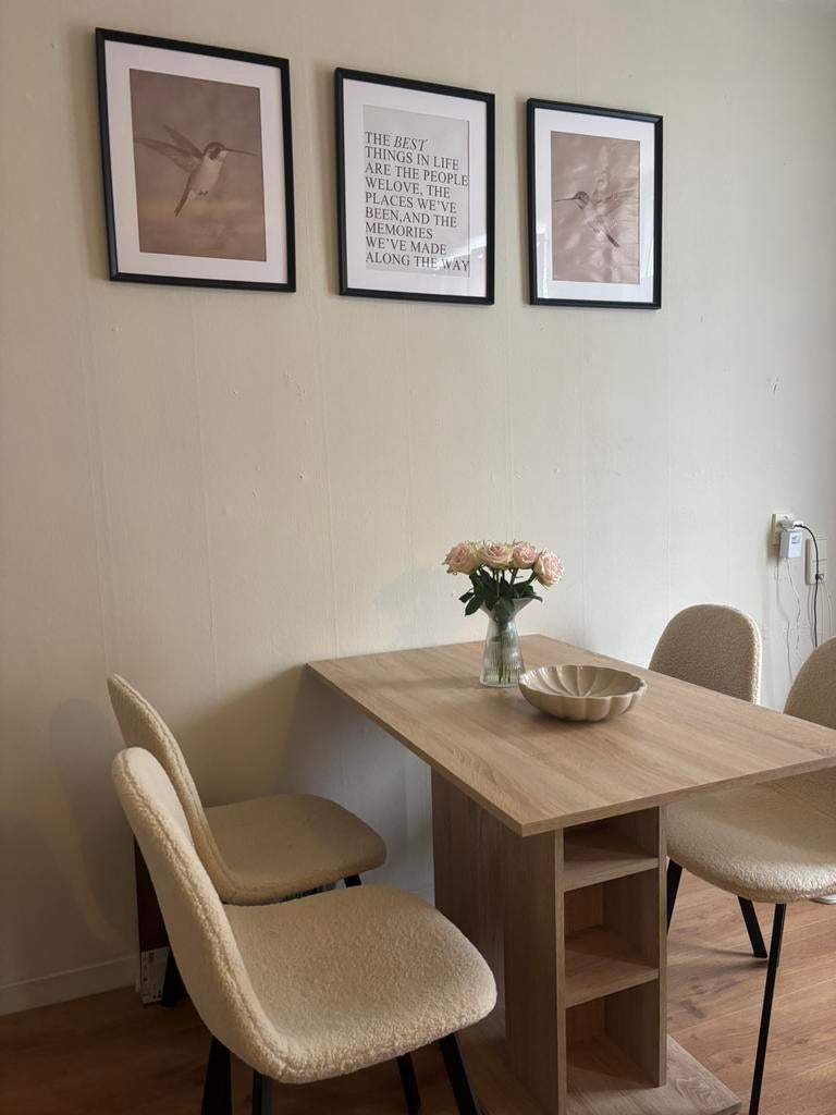 Twee eetkamerstoelen teddy, Huizen en Kamers, Kamers te huur