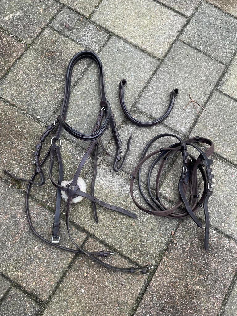 Mexicaans hoofdstel, Dieren en Toebehoren, Ophalen of Verzenden, Zo goed als nieuw