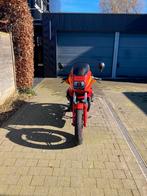 Moto Guzzi Le Mans 1000, Motoren, Cardan-aandrijving, 2 cilinders, 948 cc, Meer dan 35 kW
