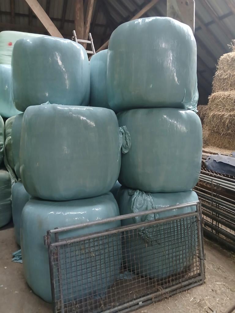 Te koop midibalen, Ophalen of Verzenden