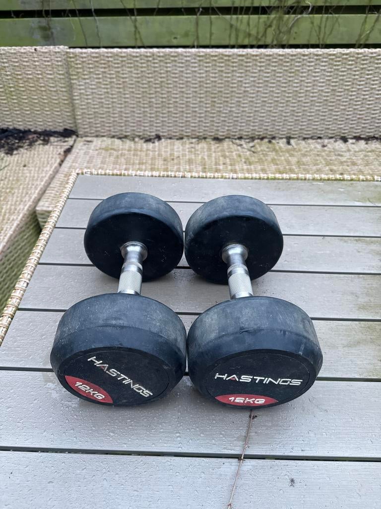 Hastings Dumbbells 12 kg - Zo goed als nieuw, Ophalen, Zo goed als nieuw, Armen, Dumbbell