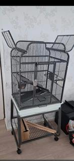Vogelkooi, Dieren en Toebehoren, Ophalen, Zo goed als nieuw, Metaal, Vogelkooi
