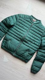 Groene Tommy Hilfiger dames jas maat XS, Ophalen of Verzenden, Nieuw, Maat 34 (XS) of kleiner, Groen