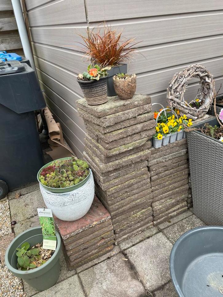 Gratis stoeptegels, Tuin en Terras, Tegels en Klinkers, Gebruikt, Terrastegels, Beton, 10 m² of meer, Ophalen of Verzenden