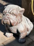 Engelse Bulldog beeld, Ophalen of Verzenden, Zo goed als nieuw