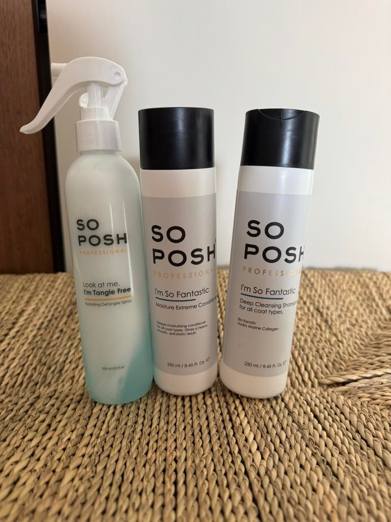 So posh hondenset, Dieren en Toebehoren, Ophalen of Verzenden, Nieuw