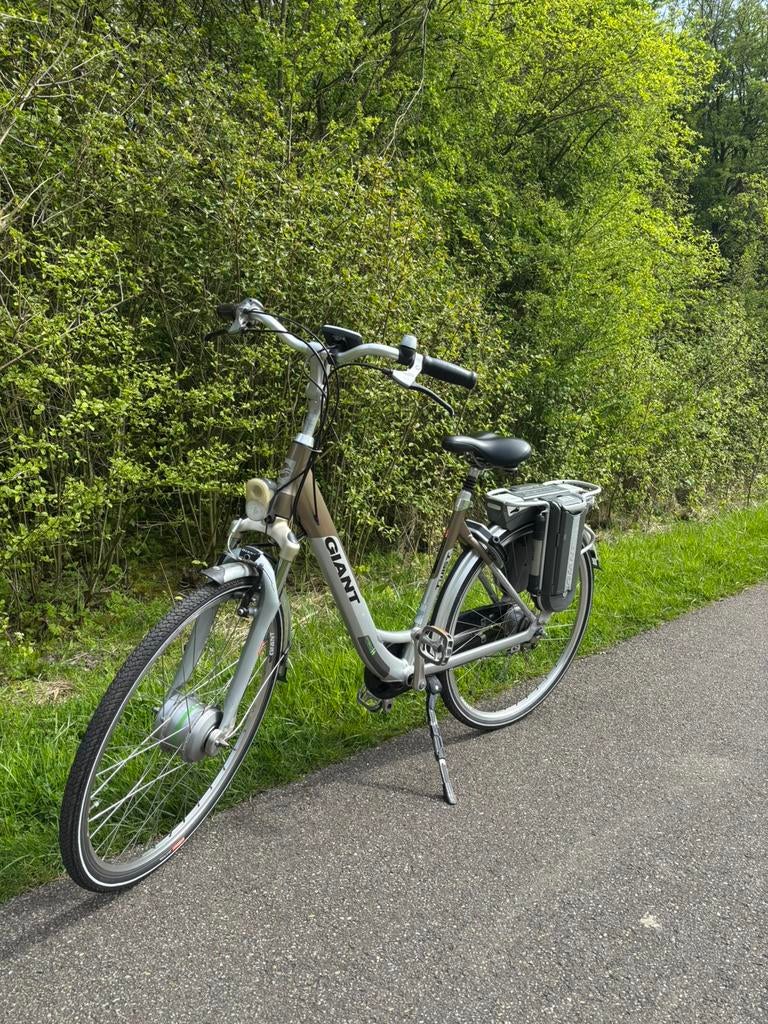 Elektrische Giant Twist Double Hybrid, Fietsen en Brommers, Elektrische fietsen, Minder dan 47 cm, Ophalen, Zo goed als nieuw