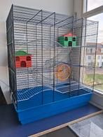 hamsterkooi met toebehoren, Dieren en Toebehoren, Knaagdieren en Konijnen | Hokken en Kooien, Ophalen, Kooi, Gebruikt, 60 tot 90 cm